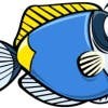  Profilbild von EyeFish