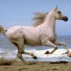  Profilbild von whitehorse7912