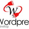 wordpressteam adlı kullanıcının Profil Resmi